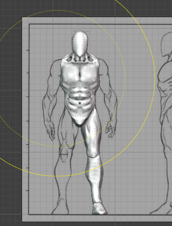 Humanoid anatomy sculpt